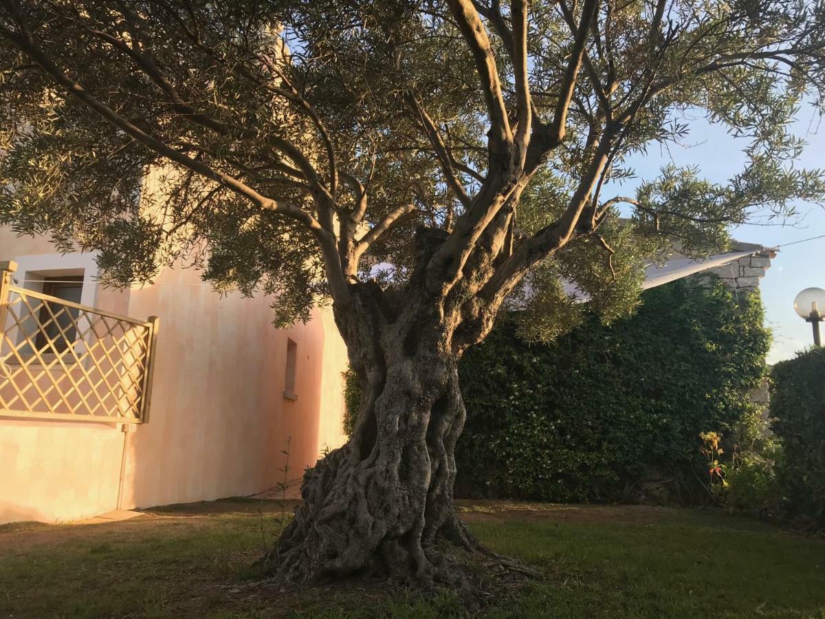 Esmeralda'S Rooms Porto San Paolo  Exterior photo